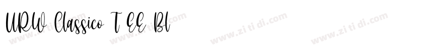 URW Classico T EE Bl字体转换